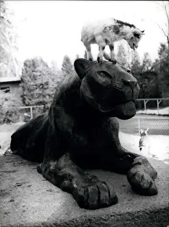 Hellabrunn: Sculpture of tiger, Hellabrunn Zoo, Munich