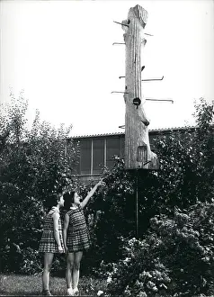 Hardly: Sculpture by Walter Sack, adapted as nesting box for birds