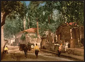 Scutari: Scutari, Constantinople, Turkey
