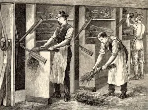 Fibres: Scutching or dressing flax by beating the stalks