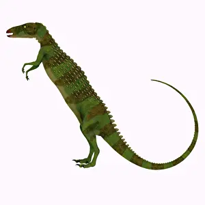 Thyreophora: Scutellosaurus dinosaur, side profile