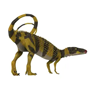Thyreophora: Scutellosaurus, side view on white background