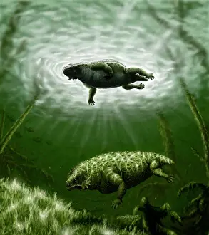 Pareiasaur: Scutosaurus karpinskii in prehistoric waters