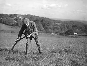 Scything: SCYTHING HAY/WALES