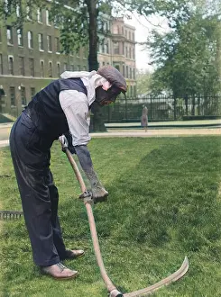 Scything: SCYTHING A LONDON SQUARE