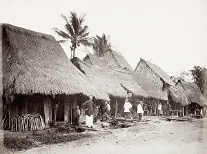 Thatch: SE Asia, probably Malay peninsula, traditional houses