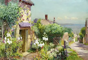 Downhill: Down to the Sea ' cottage and flowers