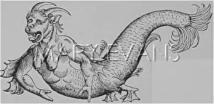 Mythical Creatures: SEA-DEVIL