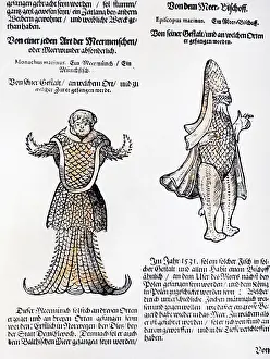 Sea human and sea bishop