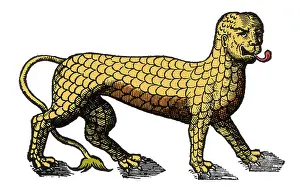 Hybrid: Sea Monster, 16th Century