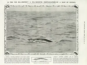 Serpents: A sea-monster photographed by a man of science