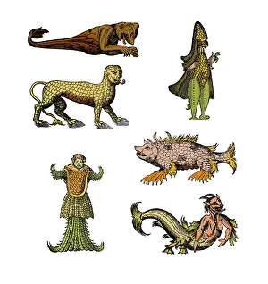 Marvels: Sea Monsters