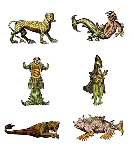 Marvels: Sea Monsters