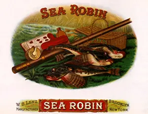 Rattan: Sea Robin