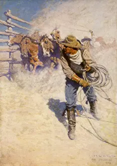 Corral: Above the Sea of Round