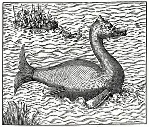Navigators: SEA SERPENT ALOES