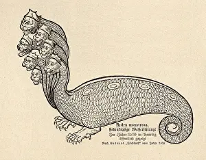 Hydra: Sea Serpent Hydra