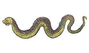 Fabled: Sea Serpent, Legendary Monster
