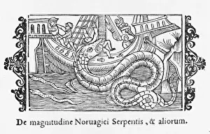 Seizes: Sea Serpent Norway