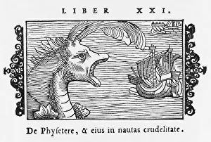 Encountered: Sea Serpent Norway