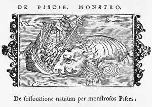 Physeter: Sea Serpent Norway