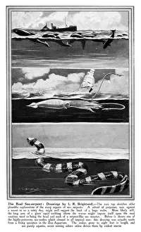 Kraken: Sea Serpents