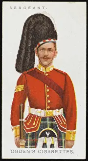 Albanys: SEAFORTH SERGEANT