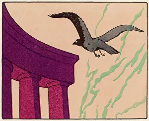 Bookshop On The Heath Collection: Seagull and columns