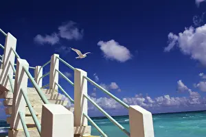 Inspiring: Seagull above Outdoor Staircase Post by Ocean