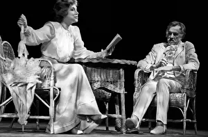 Innokenty: The Seagull play, 1985
