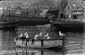 Calm: Seagulls on a Boat in St. Ives