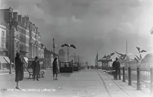 Hastings: Seagulls at Hastings Seafront