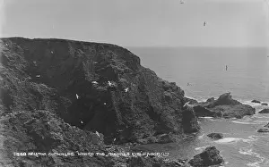 Terrain: Where the Seagulls Live
