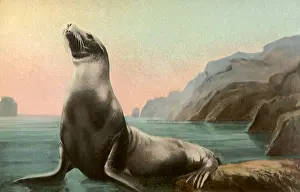 Proudly: Seal