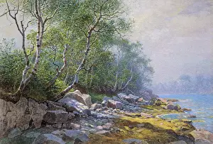 Haseltine: Seal Harbor, Mount Desert, Maine