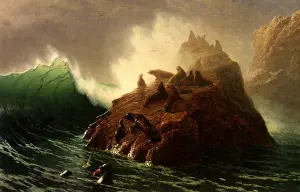 Seascapes: Seal Rock
