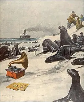 Unscrupulous: SEALS & GRAMOPHONE