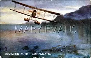 Floats: SEAPLANE TWIN FLOATS