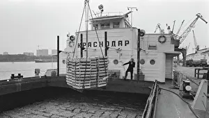 Tomatoes: Seaport