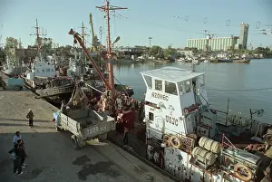 Krasnodar: Seaport of Yeysk agroindustrial complex