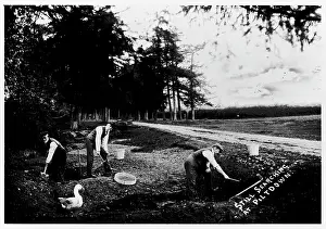 Forgery: Still Searching At Piltdown