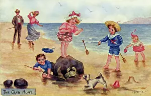 Mittie: Seashore. Hunting for crabs