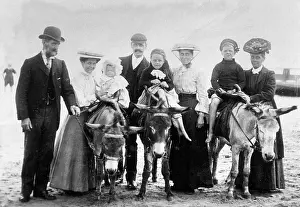Donkeys: SEASIDE FAMILY