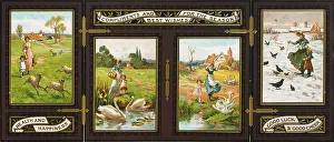Papa: The Four Seasons