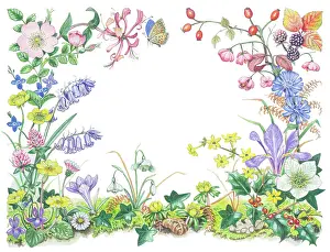 Primroses: Four Seasons floral border design