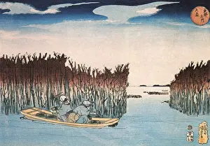 Seaweed: Seaweed Gatherers at Omari