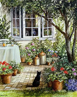 Patios: Sebastian's Spring Inspection cat in garden