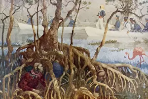 Mangrove: Second Seminole War, 1835-42. U.S. Marines
