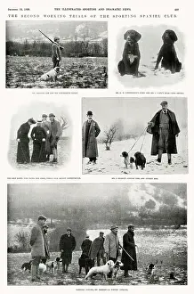 Fitzherbert: The second working trials of the sporting spaniel club
