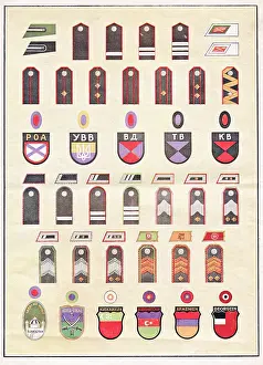 Insigna: Second World War